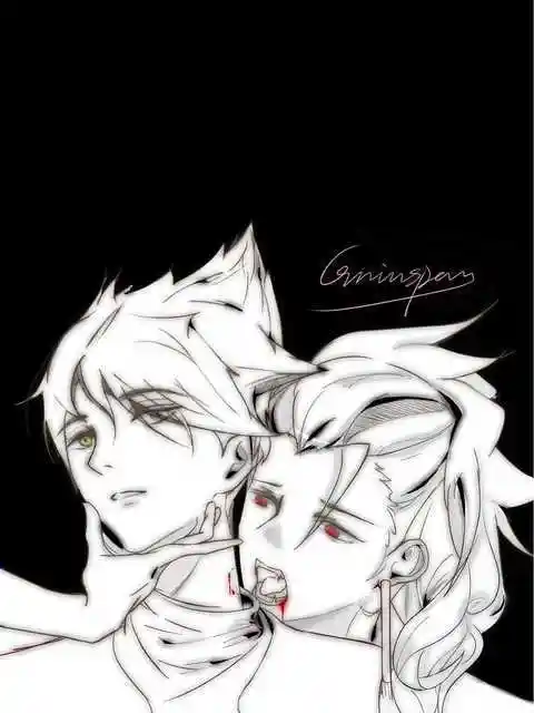 龙卡cp向光遇,云野追光_大神