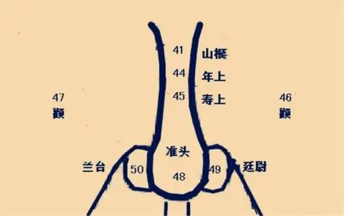 面相鼻子看你能力大小运势吉凶