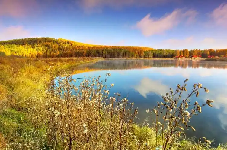 伊春之旅:畅游十大网红打卡地,感受大自然的魅力
