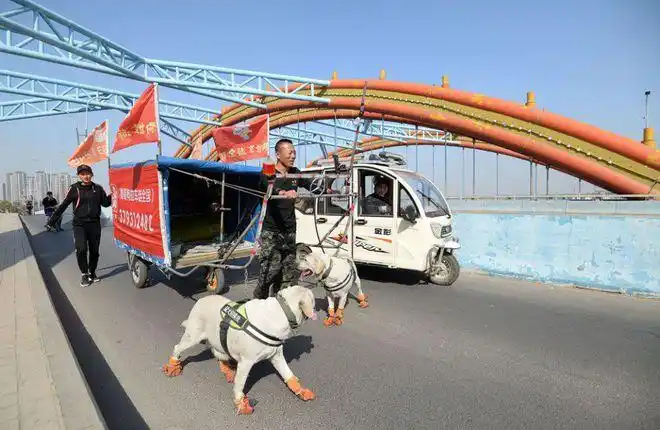 辽宁一对父女拉着1000斤房车徒步去云南每天靠直播挣生活费