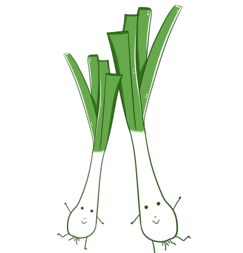 您好,需要购买大葱的游客在这边!志愿者