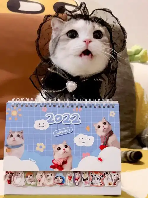 小泡芙2022年台历好可爱