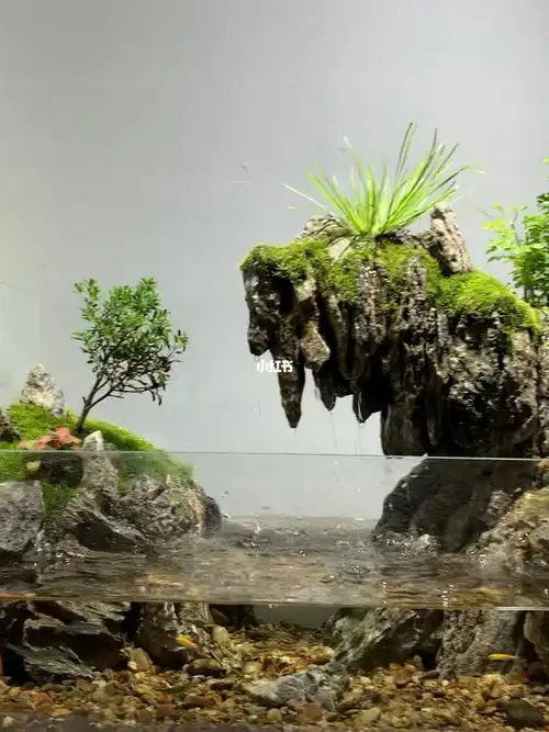 玻璃缸中的大自然78水陆两栖造景微景观鱼缸