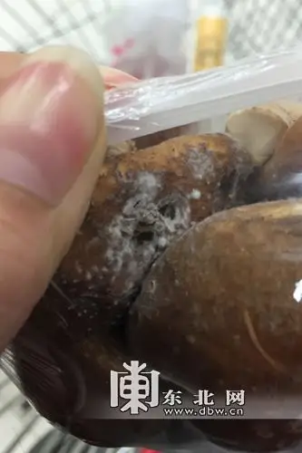 哈尔滨大润发超市销售发霉变质香菇
