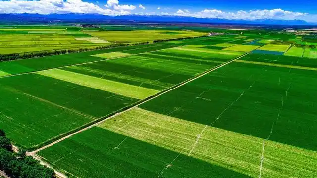 「喜庆中国农民丰收节」流青溢翠菜满园