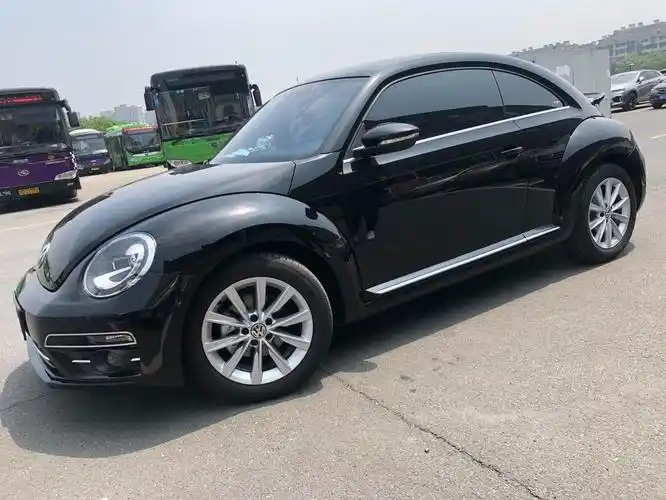 一手19年黑色甲壳虫浙江牌