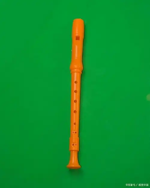 八孔竖笛是一种受欢迎的乐器,尤其适合初学者
