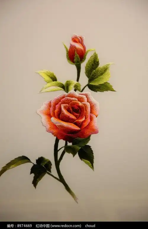 越南刺绣牡丹花