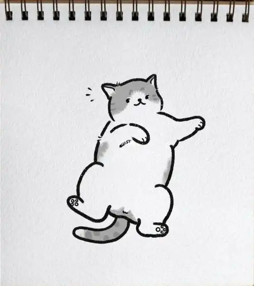 今天画了我家的猫咪日常,夏天的幸福就是在有空调的房间里躺着睡觉