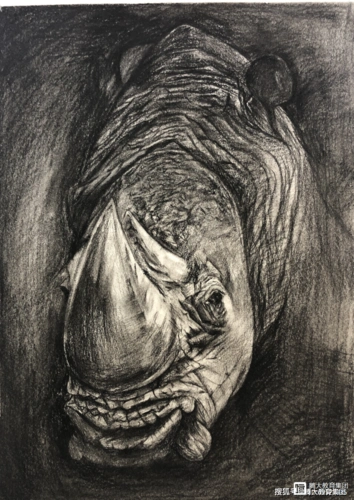 第六届征文大赛 | 《犀牛》