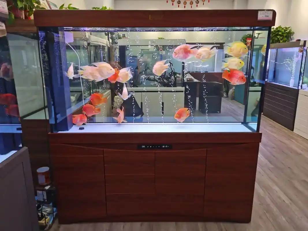 森森水族高品质鱼缸缔造者,####水族器材 #超白鱼缸 - 抖音