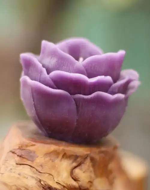 紫色玫瑰蜡烛