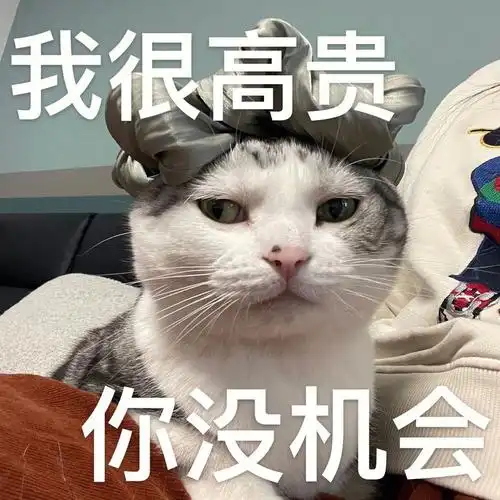 身边所有朋友都在说旺财表情太像人了哈哈哈哈哈哈哈哈哈哈不知道是不