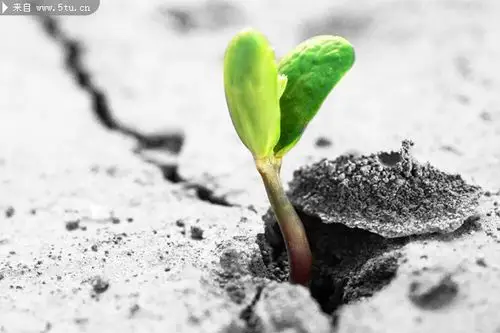 把时间花在该花的地方