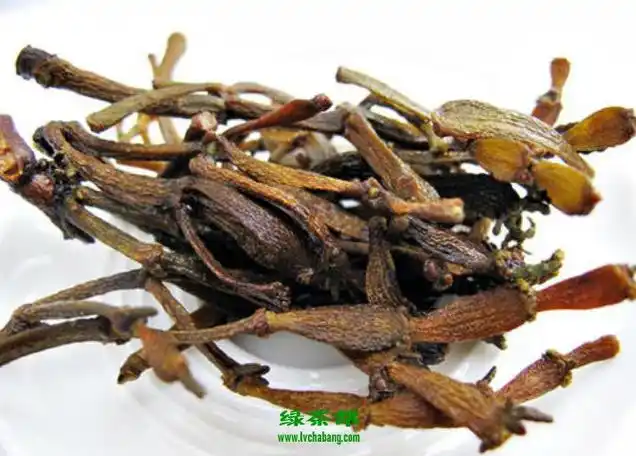 龙眼树寄生茶的功效与作用