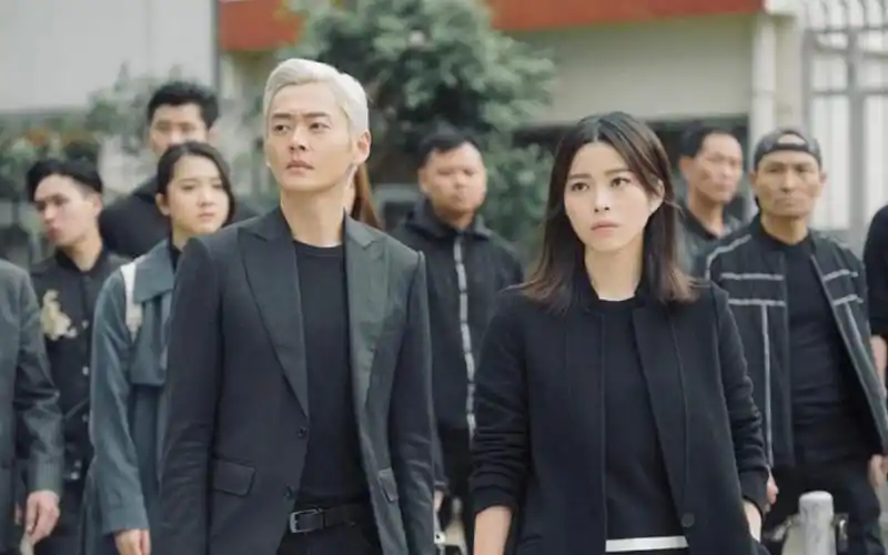 高彬x蒋千霞反黑路人甲专属的千层套路