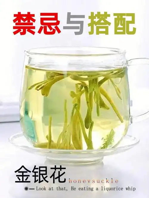 金银花好处多不能乱喝教你对的组合搭配