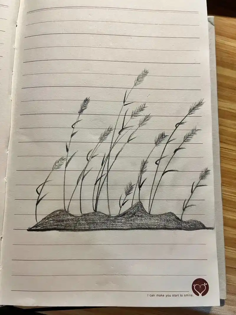 "落日芦苇"#简笔画 #业余爱好 #不要限流 #日常瞎画 # - 抖音