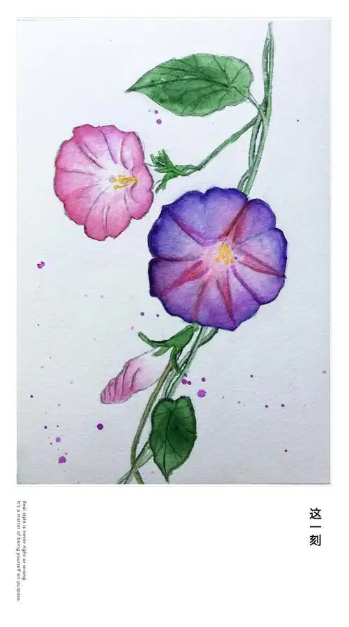 牵牛花简笔画彩色 牵牛花简笔画彩色手绘