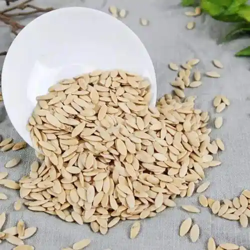 伟博中药材新货生黄瓜籽农家东北老旱黄瓜子熟黄瓜籽 500克【图片