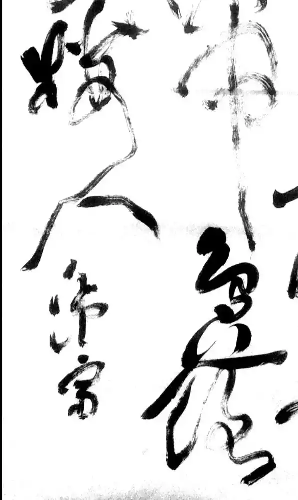 徐渭风格#草书 #书法作品欣赏 - 抖音