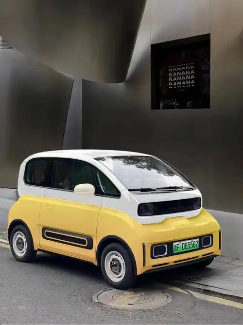 今天母亲节送给妈妈一台kiwi怎么样_五菱宏光miniev车友圈_懂车帝