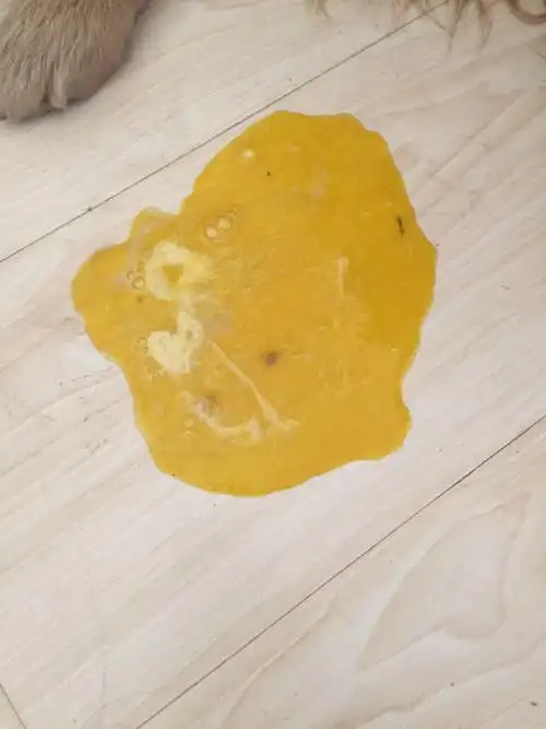 黄胆水,就是胆汁,是肚子饿的时候胃里面没有东西可吐了就会吐胆汁