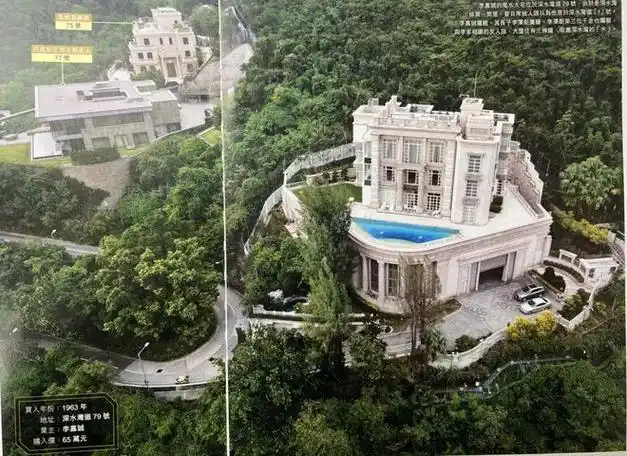 马|深水湾|嘉道理|驯养动物|奥林匹克运动会_网易订阅