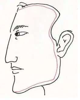 3,耳垂大 耳后见腮:不出轨 有一种面相特征,虽然有耳后见腮的反骨面相