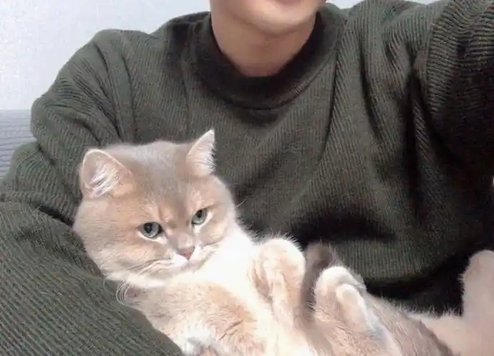 下班回家陪看1988中,天天躺我手杆😄😄强行晒个和酥肉君的自拍就