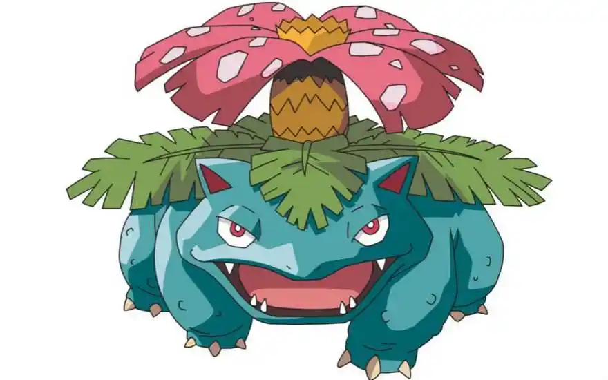 《神奇宝贝图鉴》no.3:举行进化仪式的领袖——妙蛙花