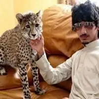 富二代微信头像【点击鼠标右键下载】