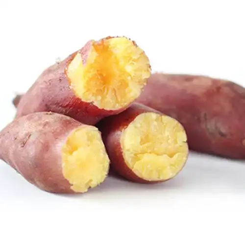 【鲜君堂】陕西白心红薯5斤装 单果200g左右