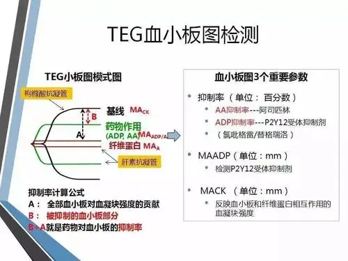 检验小课堂teg血栓弹力图