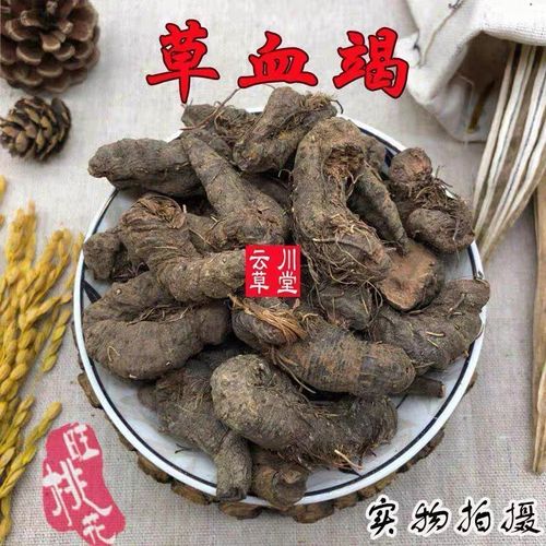 中药材草血竭 野生草血竭 一口血 拳参  土血竭 包邮