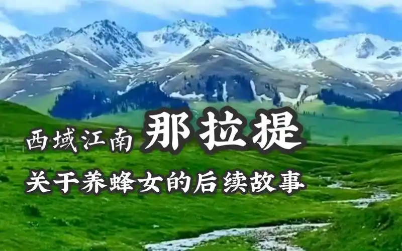 那拉提的养蜂女宿舍合唱完整版 那拉提的养蜂女寝室大合唱 哪个大学
