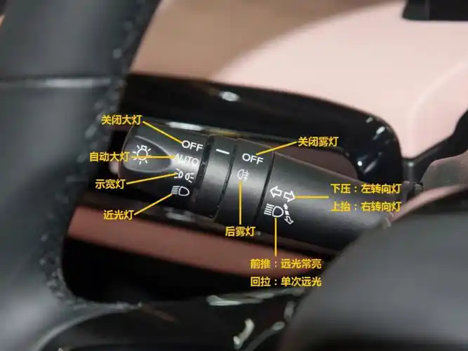 埃安y左侧拨杆操作指南