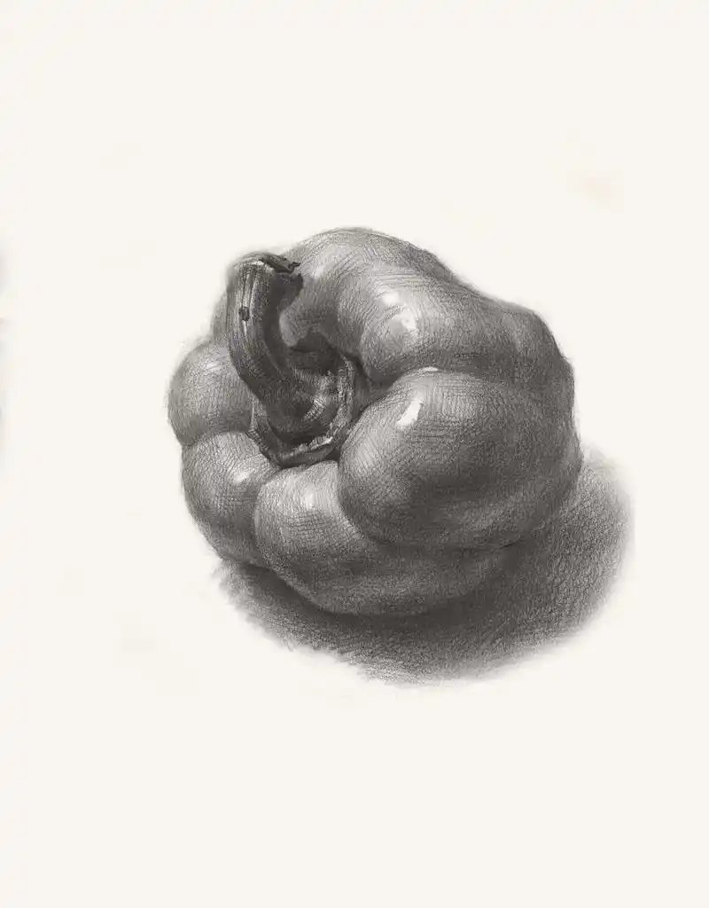 素描静物单个物体高清临摹素材分享,喜欢画素描的看过来!