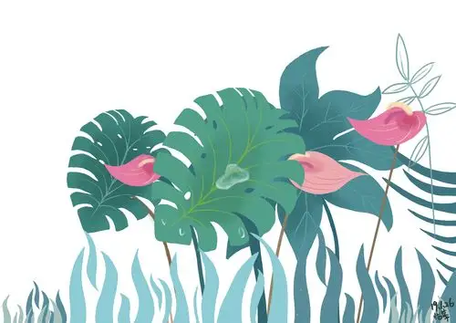 龟背竹 临摹|插画|插画习作|勤劳的芦苇 - 原创作品 - 站酷 (zcool)