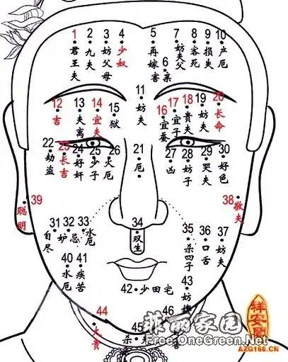 面小分享,印堂的相术解说