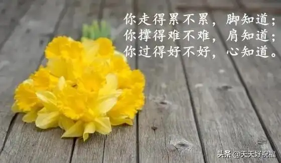 感叹人生适合发朋友圈的句子当今社会最现实的句子