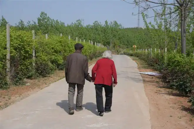 9旬老两口牵手果园散步一个包子掰开俩人吃摇着老伴儿坐秋千