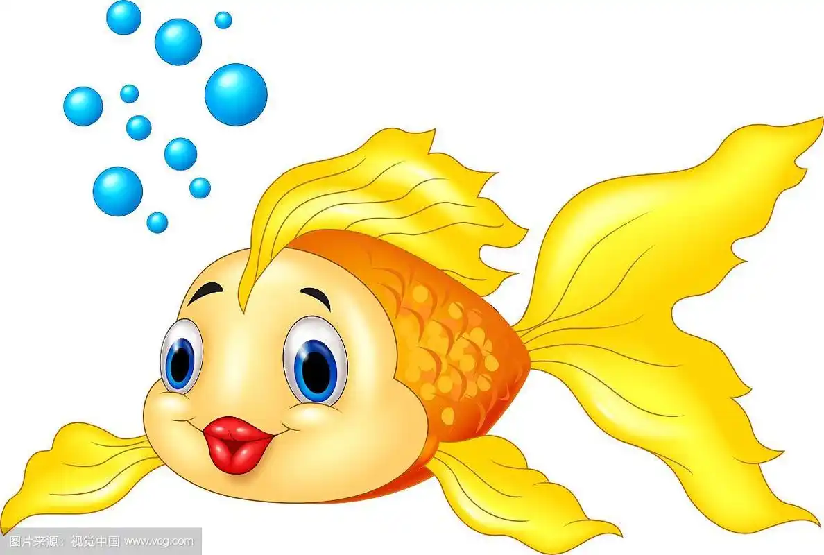 白色背景上有泡泡的金鱼