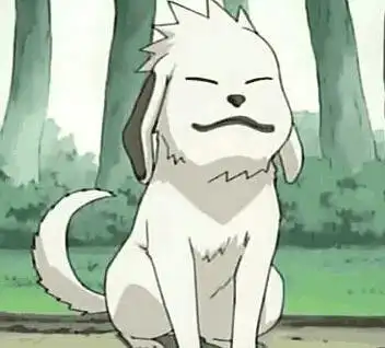 火影忍者赤丸图片 火影忍者赤丸头像