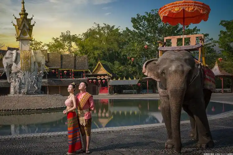 以象为伴@傣族园风情