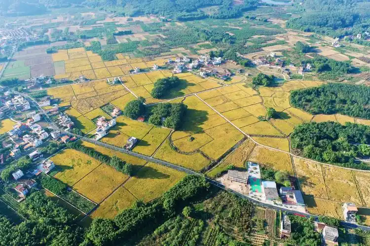 "四个坚持"实施垦造水田 助推韶关绿色生态高质量发展 - 广东省国土