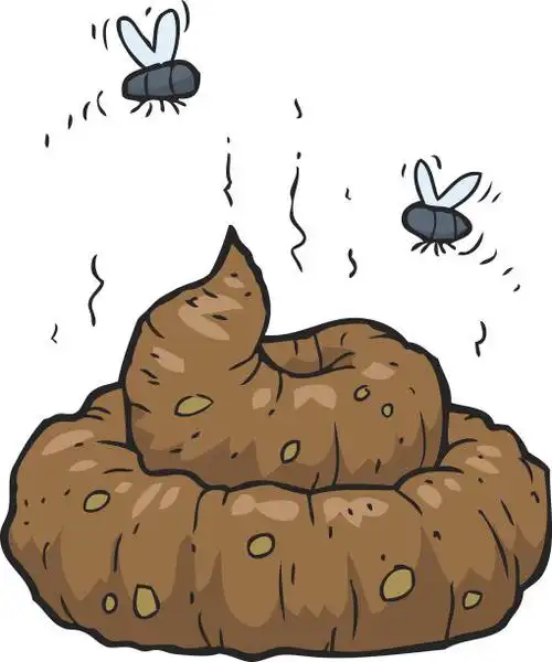 排泄物,卡通,动物粪便,绘画插图,垃圾矢量图素材_id:140995474