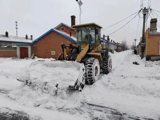 我县各单位,乡镇积极开展清雪除冰行动