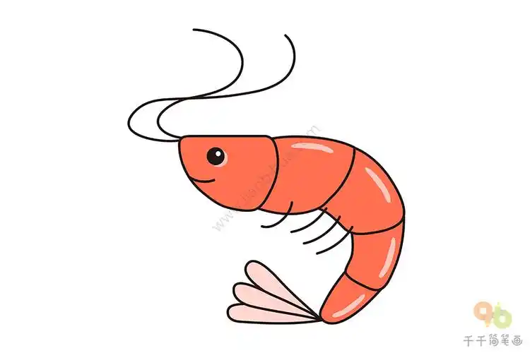虾简笔画画法