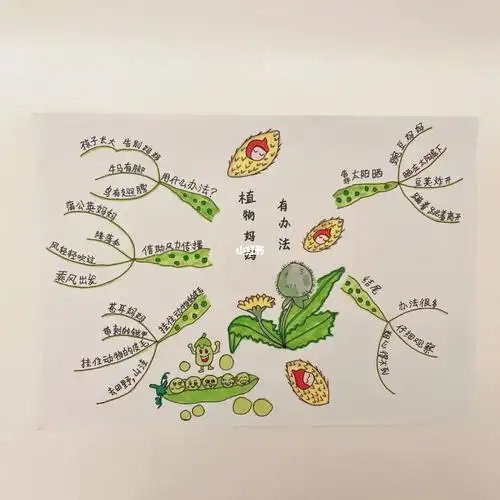 植物妈妈有办法思维导图二年级